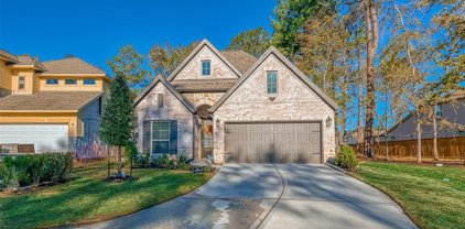 21602 Cascades Pass Court Court, Porter
