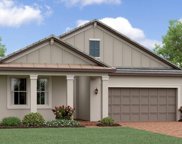 16914 Shell Bay Drive, Land O' Lakes image