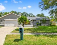 3594 Scarlet Tanager Drive, Palm Harbor image