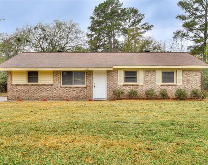 3325 YOUNG FOREST Drive, Augusta