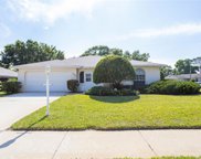 1354 Gillespie Drive, Palm Harbor image