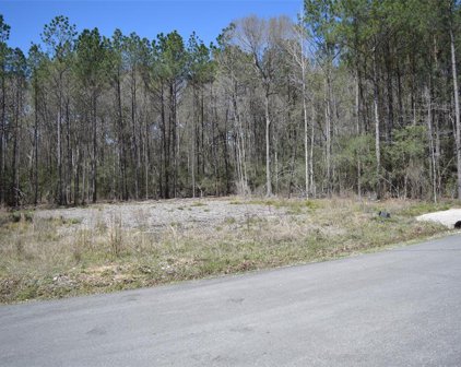 15529 HICKORY Drive, Montgomery