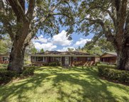880 Dills Bluff Road, Charleston image
