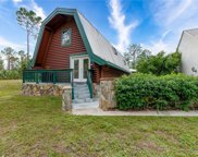 4395 18th Street NE, Naples image