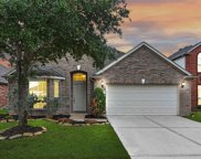 30418 Sunset Falls Drive, Spring image