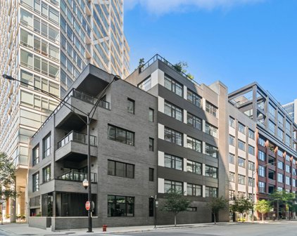 668 N Kingsbury Street Unit #407, Chicago