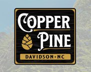 157 Copper Pine  Lane Unit #7, Davidson image