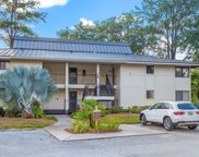 5019 Mill Pond Road Unit 3135, Wesley Chapel image