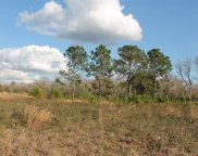 State Road 33 Unit Lot 111, Clermont image