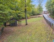 3045 Village Springs Road, Springville image