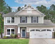 3071 Rhododendron  Place, Clover image