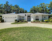 5909 Deer Flag Drive, Lakeland image