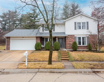 1143 Crested View  Drive, St Louis