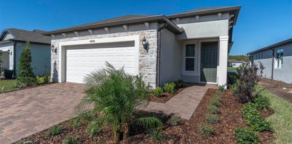 6086 Shorebird Branch, Land O' Lakes
