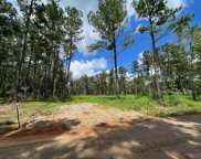 Lot 10A Clyde Blount Rd, Livingston image