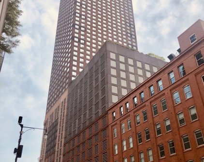474 N Lake Shore Drive Unit #4502, Chicago