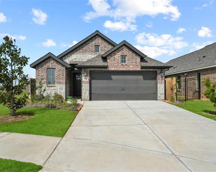 2530 Alder Wood Lane, Katy