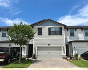 11228 Whistling Pine Way, Orlando image