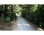 Hensley Hill RD, Port Orford image