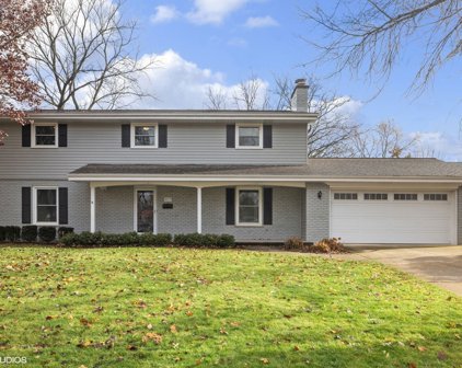 4513 Cornell Avenue, Downers Grove