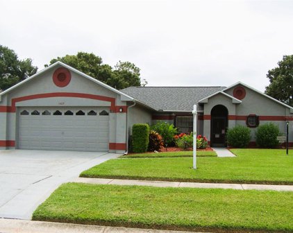 1407 Ventana Drive, Ruskin