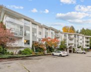 2535 Hill-Tout Street Unit 203, Abbotsford image