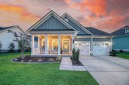 113 Calm Water Way, Summerville image