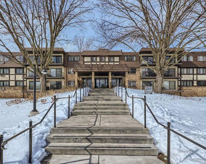 215 Barry Avenue S Unit #318, Wayzata