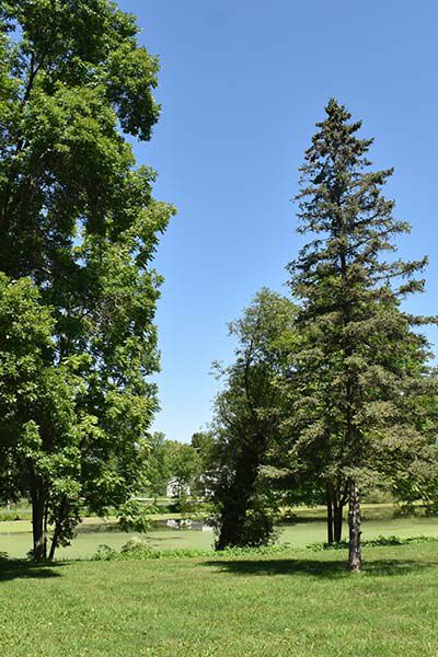 new richmond wi homes for sale