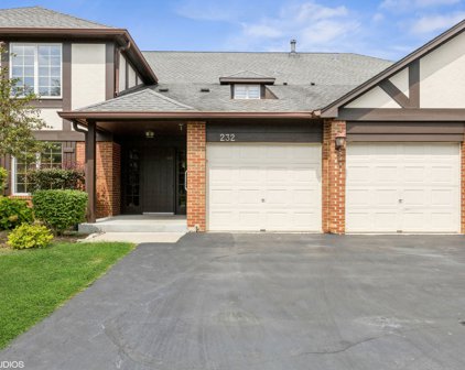 232 Stanhope Drive Unit #C, Willowbrook