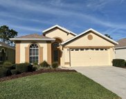 23843 Coral Ridge Lane, Land O' Lakes image