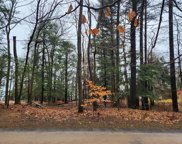 Lot 13 Sable Point, Benona Twp image