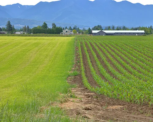 Acreage Homes for Sale
