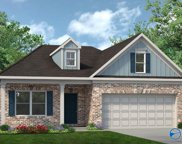 30207 Plantation Park Drive, Harvest image