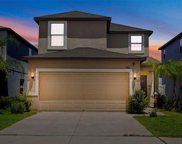 7410 French Marigold Avenue, Tampa image