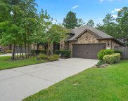 110 Blue Gilia Court, Montgomery image