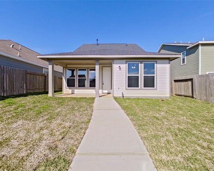 10768 S Lake Mist Lane, Willis