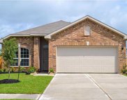 7847 Grand Louis Way, Spring image