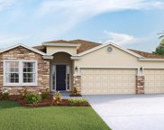 17921 Fattoria Terrace, Bradenton image