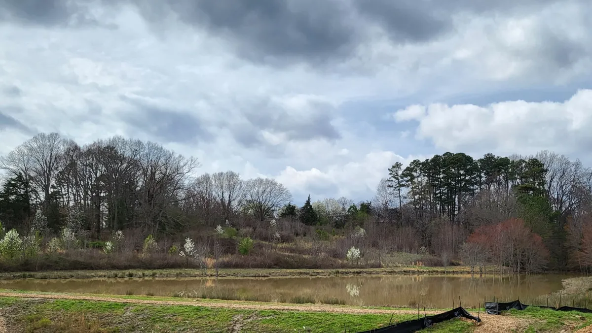 Small Pond