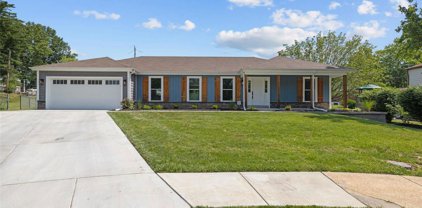 4721 Littlebury  Drive, St Louis
