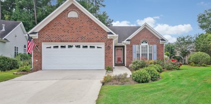 207 Waters Point Court, Wilmington