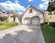 11533 Meridian Point Drive, Tampa image