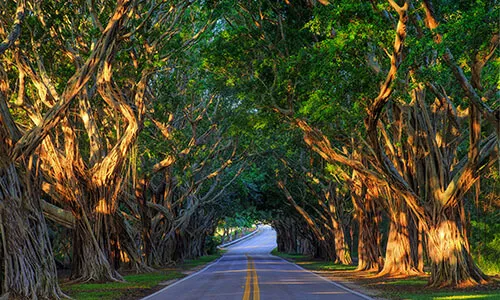 Hobe Sound Real Estate
