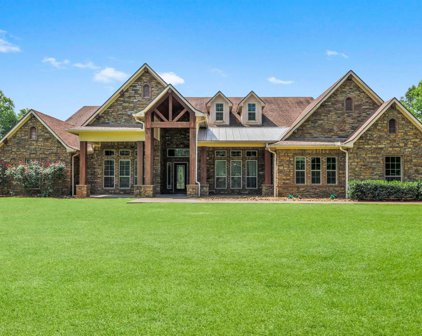 3443 Fm 2457, Livingston