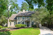 18 Spotted Fawn Court, The Woodlands image