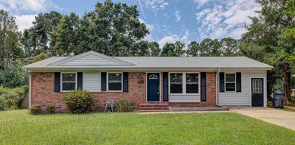 235 Mohican Trail, Wilmington