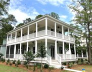 35 Blue Dasher Lane, Bluffton image
