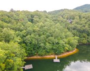 Lot 150 Trout Lily  Lane, Tuckasegee image