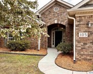 105 Winding Creek Road, Madison image
